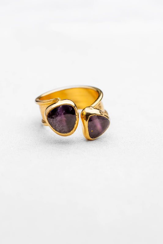 Double Stone Adjustable Ring