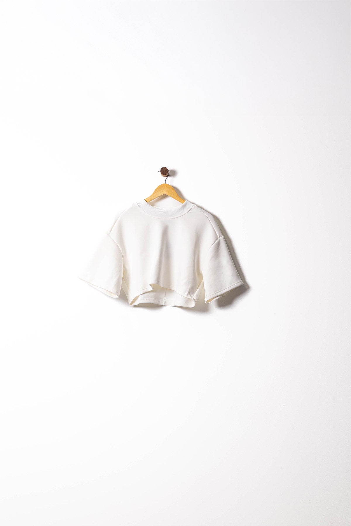 The Clean Cut Crop Top